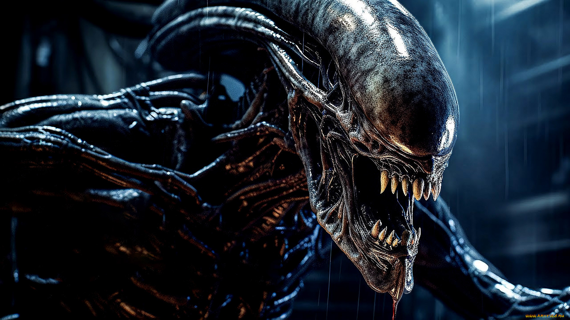  , alien,  romulus, romulus, , , 2024
